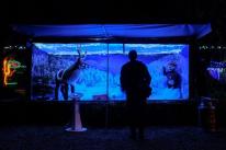 12 days of Christmas with Angarrack Christmas Lights last year